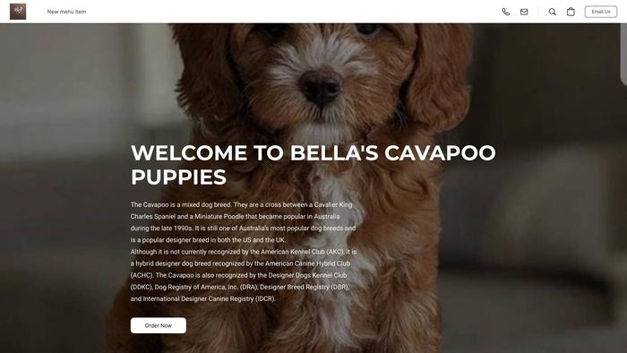 Bellascavapoopuppies.company.site - Cavapoo Puppy Scam Review