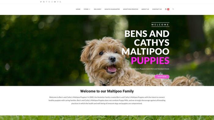 Bensandcathysmaltipoopuppies.store - Maltipoo Puppy Scam Review