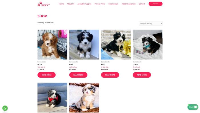 Bernedoodlehome.com - Bernedoodle Puppy Scam Review