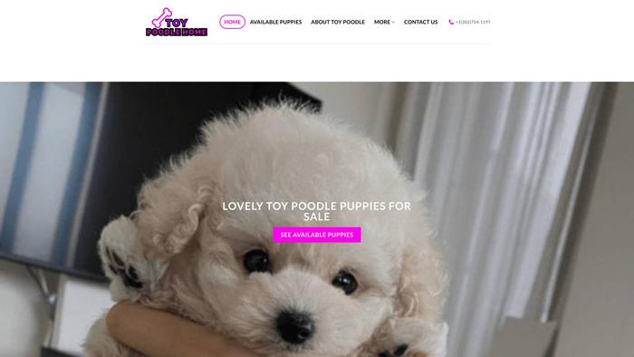 Besttoypoodlehome.com - Poodle Puppy Scam Review