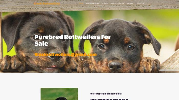 Bleekrottweilers.com - Rottweiler Puppy Scam Review