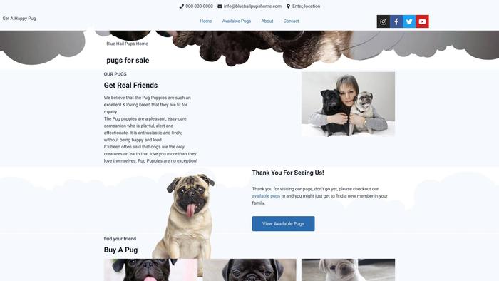 Bluehailpupshome.com - Pug Puppy Scam Review