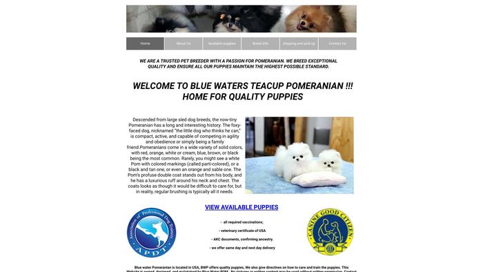 Bluewaterspomeranianpuppies.com - Pomeranian Puppy Scam Review