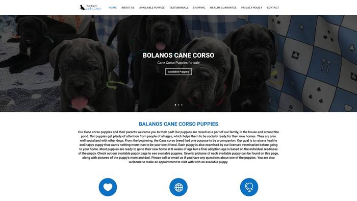 Bolanoscanecorsopups.com - Cane Corso Puppy Scam Review