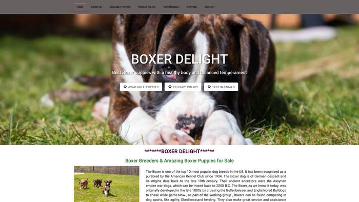 Boxerdelight.com - Boxer Puppy Scam Review