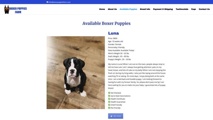 Boxerpuppiesfarm.com - Boxer Puppy Scam Review