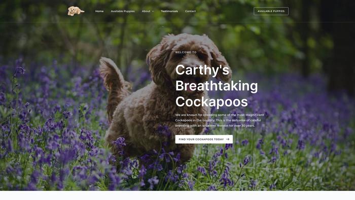 Breathtakingcockapoos.com - Cockapoo Puppy Scam Review