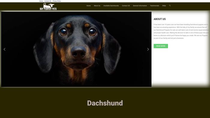 Buy-perfectpets.com - Dachshund Puppy Scam Review