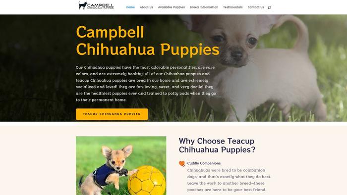 Campbellchihuahuas.com - Chihuahua Puppy Scam Review