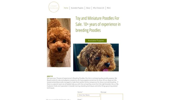 Candy-poodles.com - Poodle Puppy Scam Review