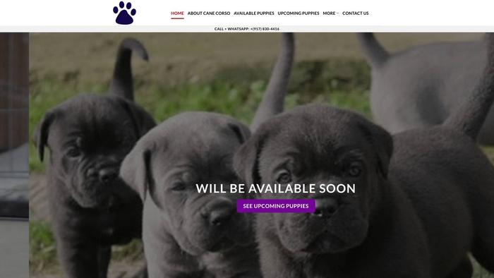 Canecorsomasters.com - Cane Corso Puppy Scam Review