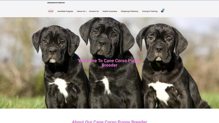 Canecorsopuppybreeder.com - Cane Corso Puppy Scam Review