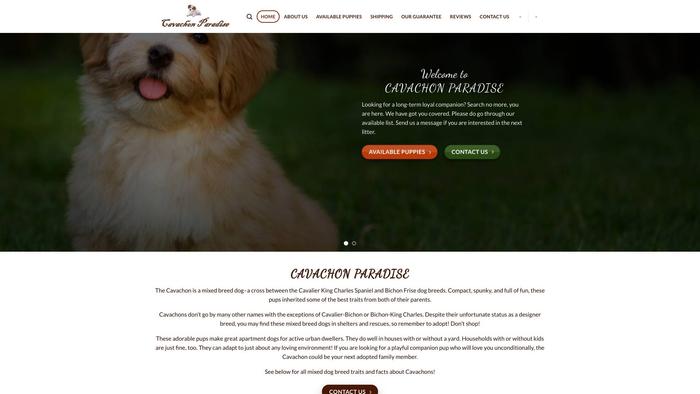 Cavachonparadise.com - Cavachon Puppy Scam Review