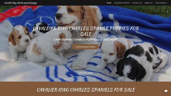 Cavalierkingcharlesspanielpuppy.com - Cavalier King Charles Spaniel Puppy Scam Review