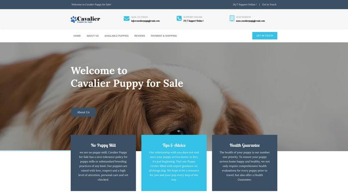 Cavalierpuppyforsale.com - Cavalier King Charles Spaniel Puppy Scam Review