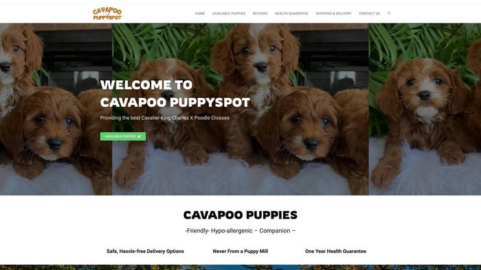 Cavapoopuppyspot.com - Cavapoo Puppy Scam Review