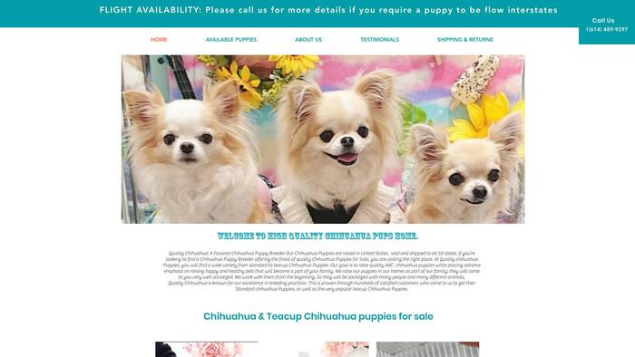 Chihuahuaforsaleinusa.com - Chihuahua Puppy Scam Review