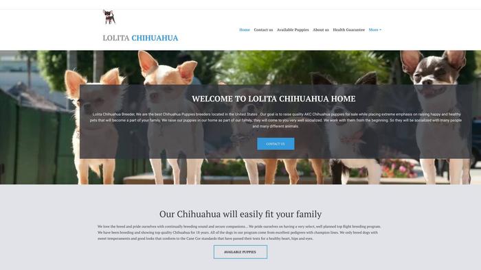 Chihuahualolitapuppies.com - Chihuahua Puppy Scam Review