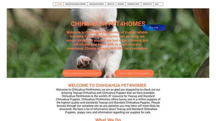 Chihuahuapetforhome.com - Chihuahua Puppy Scam Review