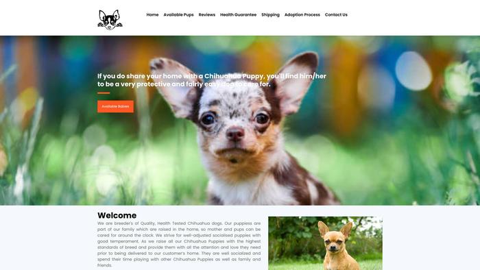 Chihuahuapuppyfinder.com - Chihuahua Puppy Scam Review