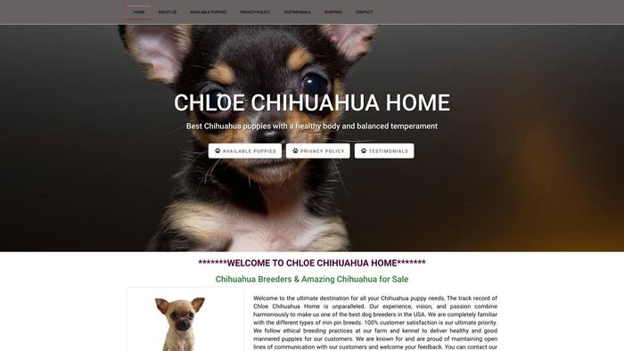 Chloechihuahuahome.com - Chihuahua Puppy Scam Review