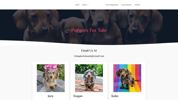 Cidaqdachshunds.com - Dachshund Puppy Scam Review