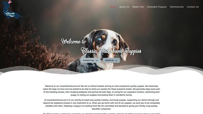 Classicdachshund.com - Dachshund Puppy Scam Review