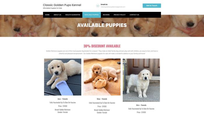 Classicgoldenpupskennel.com - Golden Retriever Puppy Scam Review