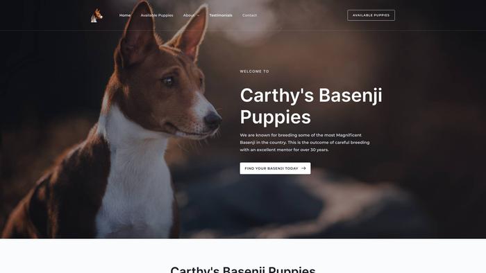 Classybasenjipuppieshome.com - Basenji Puppy Scam Review