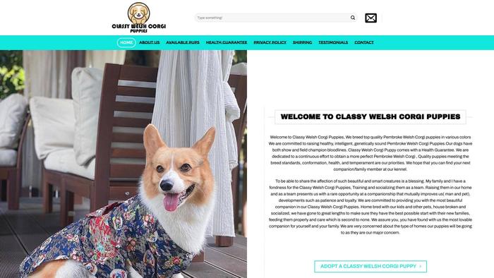 Classywelshcorgipuppies.com - Corgi Puppy Scam Review