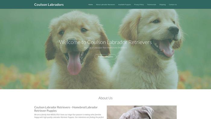 Coulsonlabradorretrievers.com - Golden Retriever Puppy Scam Review