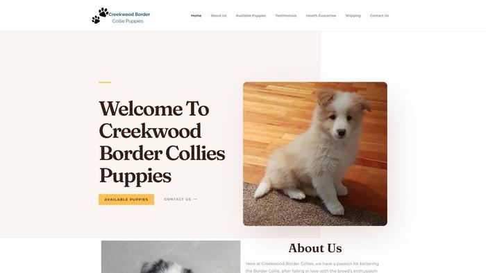 Creekwoodbordercolliepuppies.com - Bordercollie Puppy Scam Review