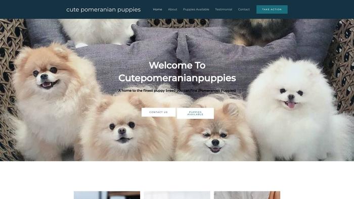 Cutepomeranianpuppies4home.com - Pomeranian Puppy Scam Review