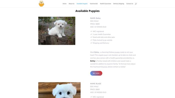 Cutewhitemaltesepuppieshome.com - Maltese Puppy Scam Review