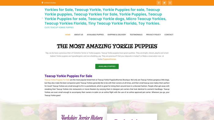 Cuteyorkiepuppies4homes.com - Yorkshire Terrier Puppy Scam Review