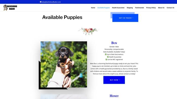 Dachshundhabor.com - Dachshund Puppy Scam Review