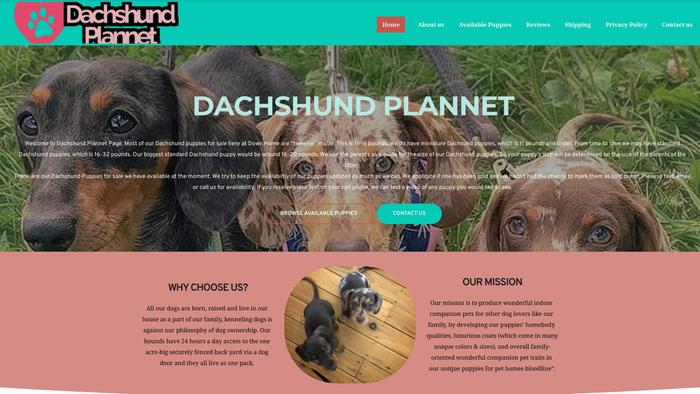 Dachshundplannet.com - Dachshund Puppy Scam Review