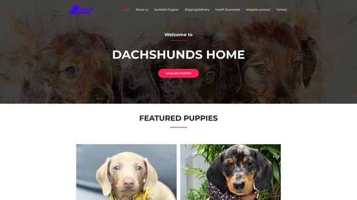 Dachshundshome.com - Dachshund Puppy Scam Review