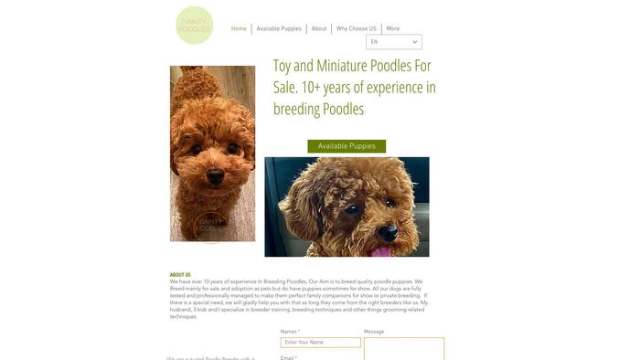 Daintypoodles.com - Poodle Puppy Scam Review