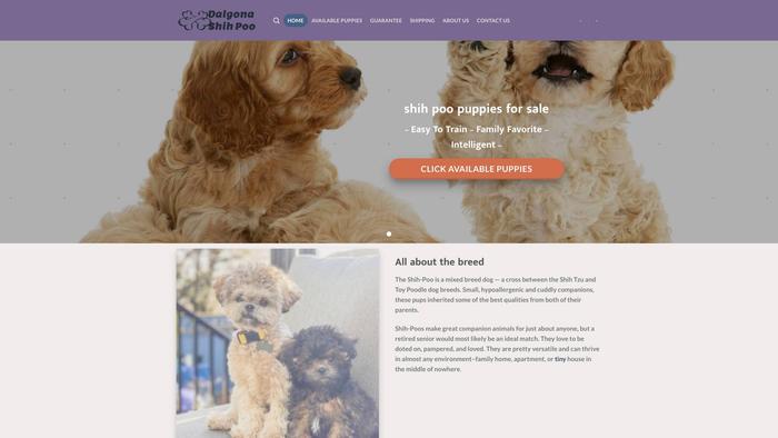 Dalgonashihpoopuppies.com - Shihpoo Puppy Scam Review