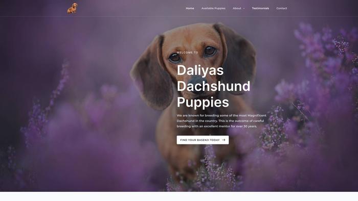 Daliyasdachshundpuppies.com - Dachshund Puppy Scam Review