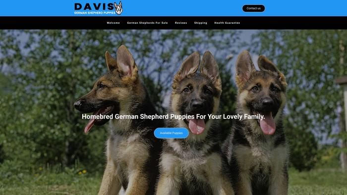 Davisgermanshepherdpuppies.com - Germanshepherd Puppy Scam Review