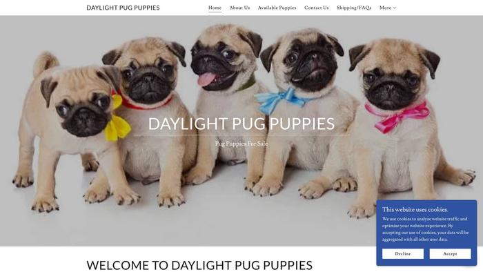 Daylightpugpuppies.club - Pug Puppy Scam Review