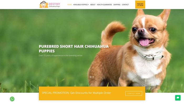 Distinychihuahuapups.com - Chihuahua Puppy Scam Review