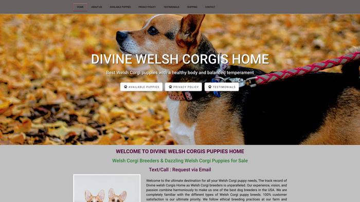 Divinewelshcorgis.com - Corgi Puppy Scam Review