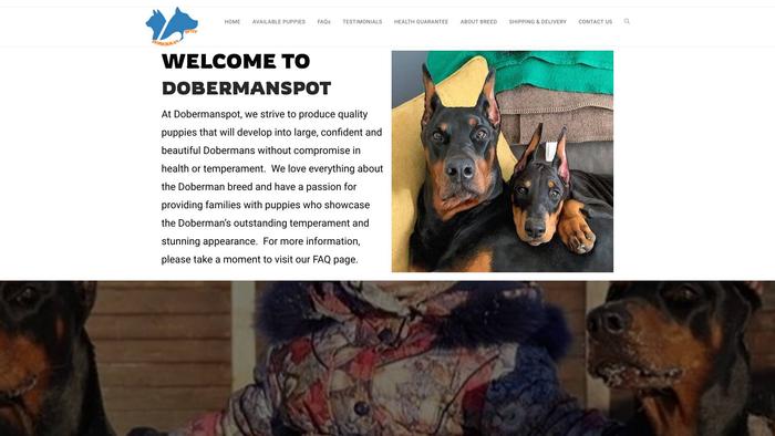 Dobermanspot.com - Doberman Pinscher Puppy Scam Review