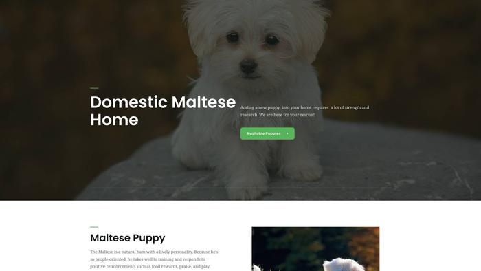 Domesticmaltesehome.com - Maltese Puppy Scam Review