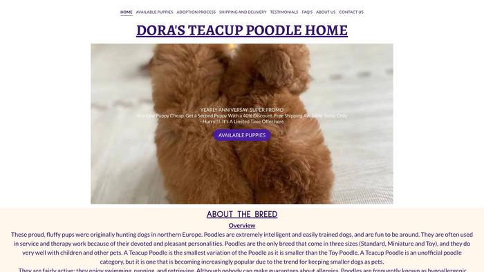 Dorateacuppoodlepuppy.com - Poodle Puppy Scam Review