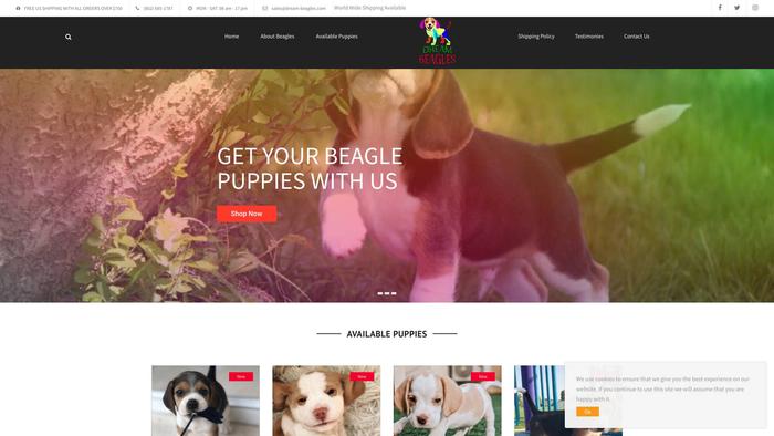 Dream-beagles.com - Beagle Puppy Scam Review