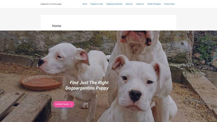 Dreamdogoargentinopuppies.dog - Labrador Puppy Scam Review